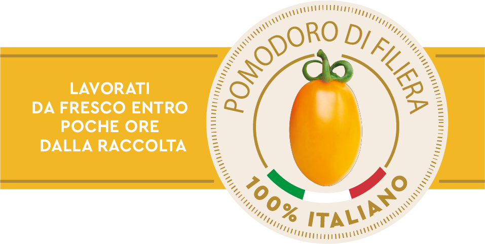 FASCIA POMODORO GIALLO